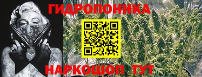 мяу мяу мука Беслан