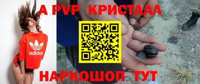индика Берёзовский